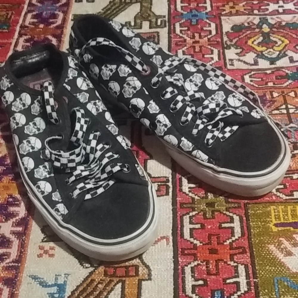 🖤💜 🖤Skull Vans